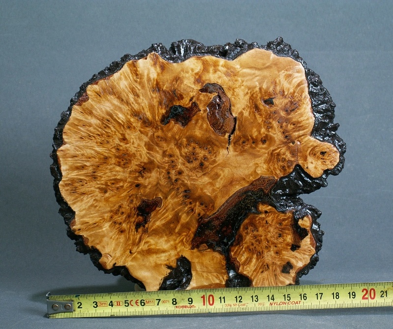 Wood plates_Ji-ita Bv_1b10