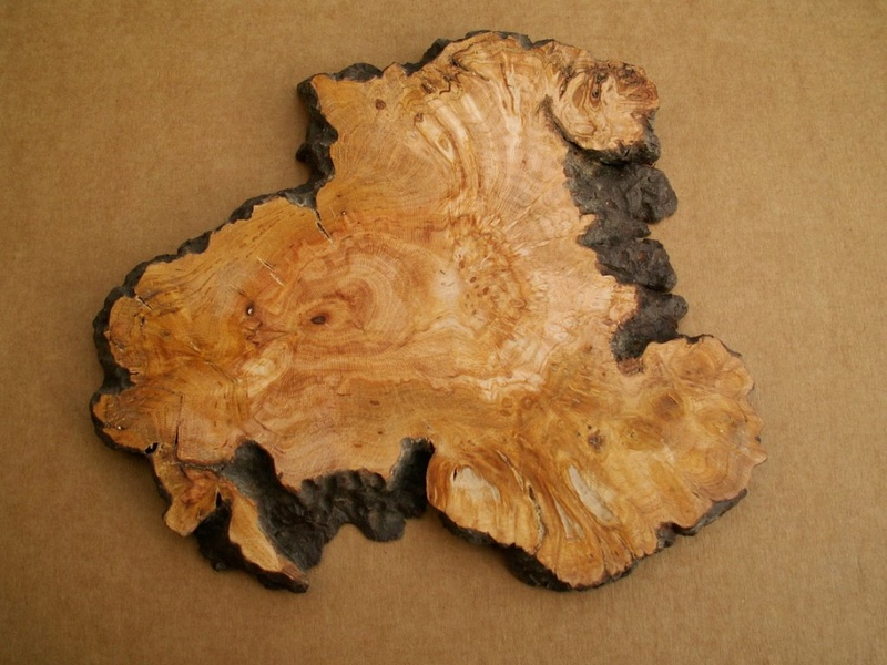 Wood plates_Ji-ita Locotu10