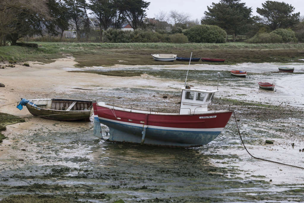 Plouescat : baie de Kernic/PorsMeur/Pors-Guen...  - Page 23 _dsc0131