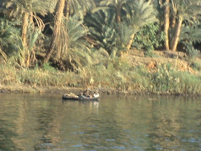 Les rives du Nil Egypte26