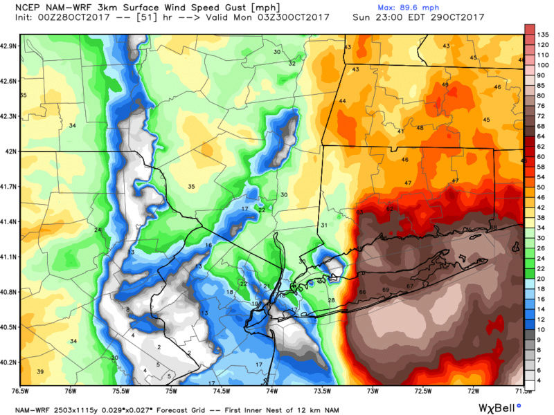 10/29 - 10/30 Nor'Easter - Page 5 Hires_11