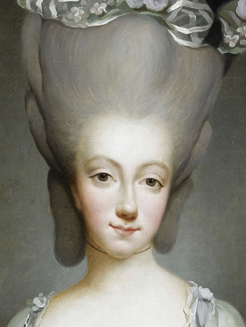 Savoie - Marie-Thérèse de Savoie, comtesse d'Artois - Page 2 Captu455