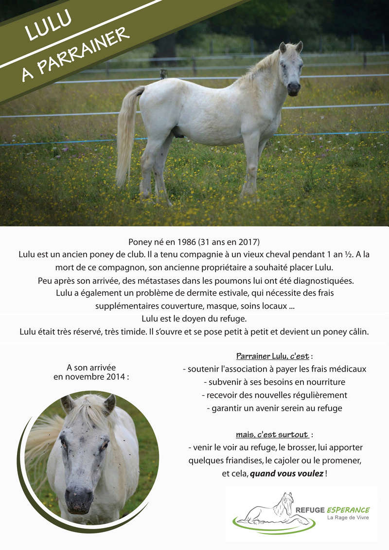 Lulu, poney souffrant de DERE Lulu_p10