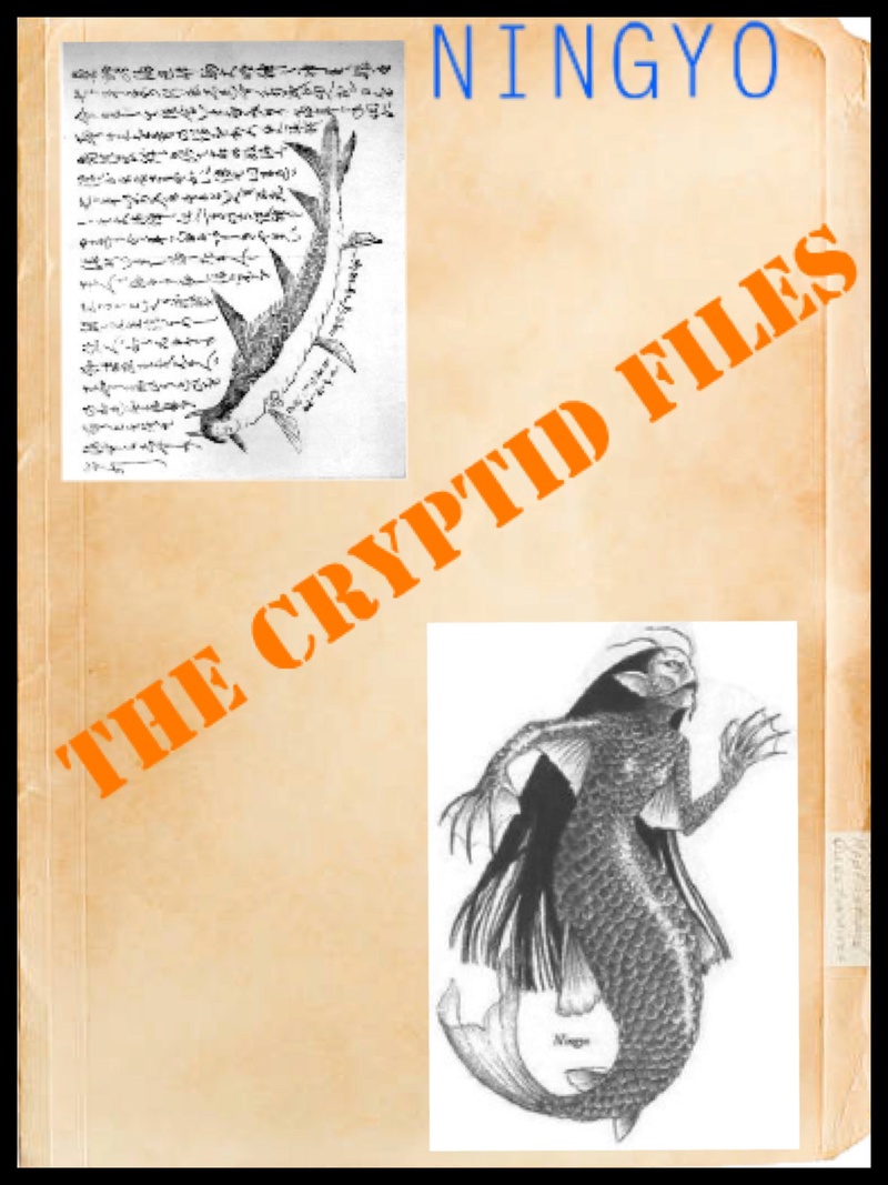 Cryptids mermaid... Img_0610