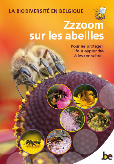 Zzzoom sur les abeilles 83826010