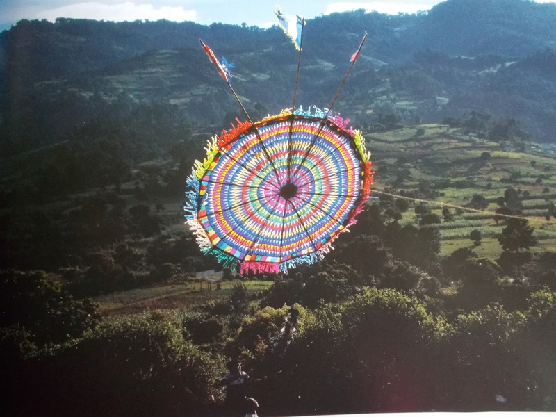 Les cerfs-volants Dscn0121