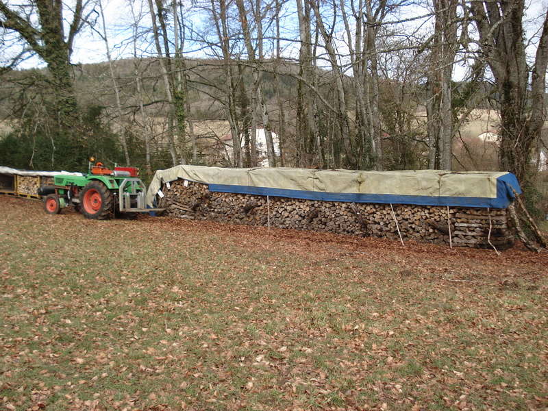 stockage de la foret à la chaudiere Dsc01019