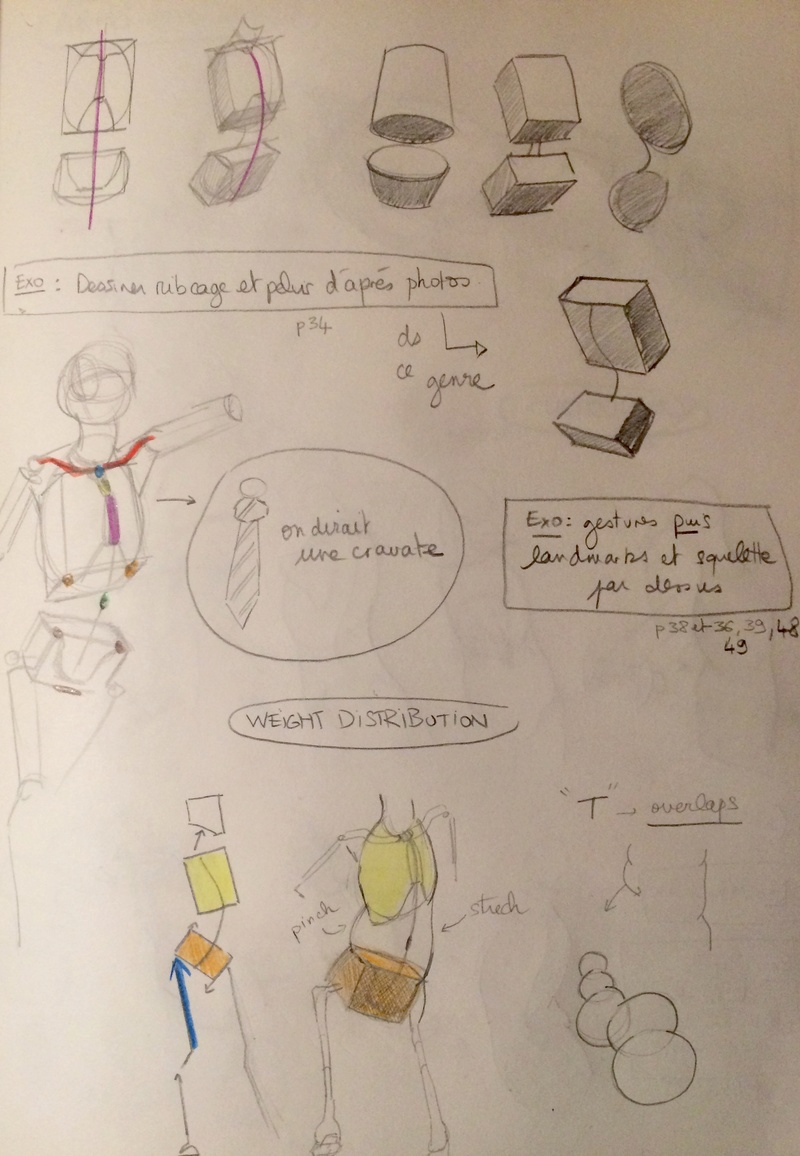 Etudes et croquis de Sofi - Page 13 Fullsi32