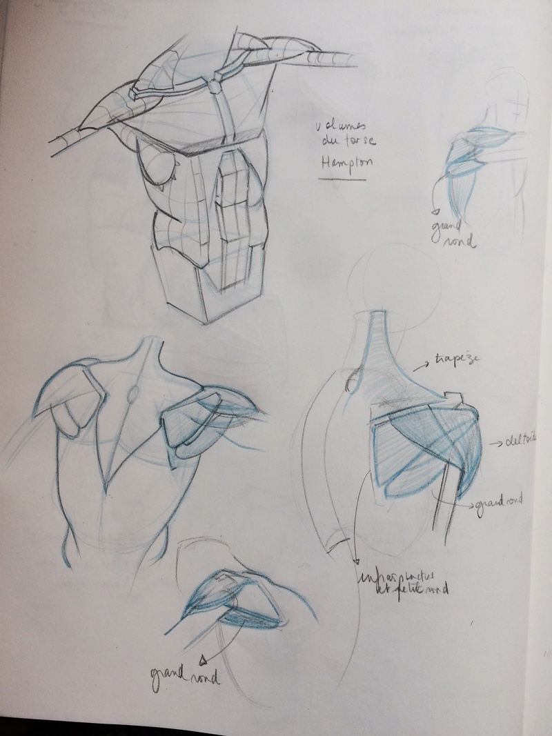 Etudes et croquis de Sofi - Page 21 Img_6711