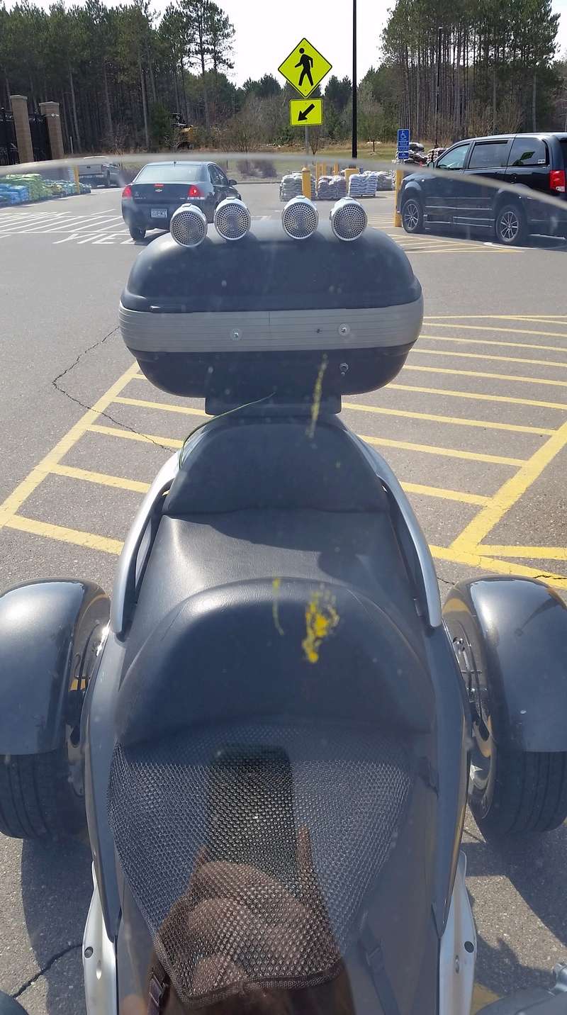 Another Nice Ride Bug10
