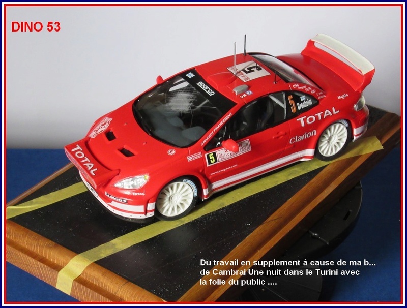 PEUGEOT 307 WRC Rallye de Monté Carlo 2004 307wrc83