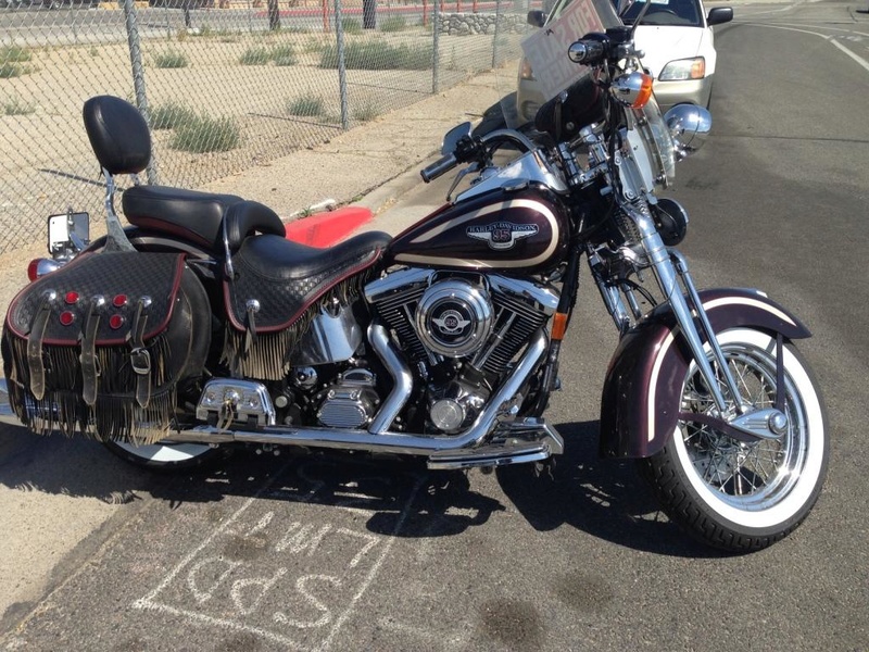 springer red chief