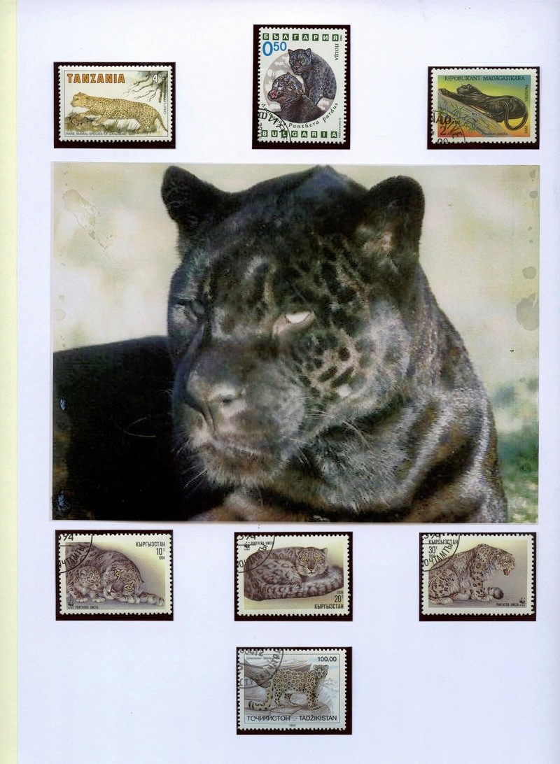 schweiz - Katzen - Seite 2 Leopar10