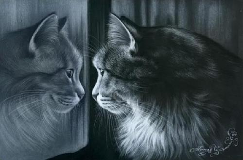 Thế giới của mèo qua tranh vẽ ... Aa112