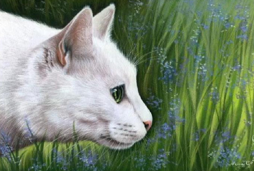Thế giới của mèo qua tranh vẽ ... Aa412