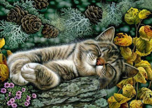 Thế giới của mèo qua tranh vẽ ... Aa512