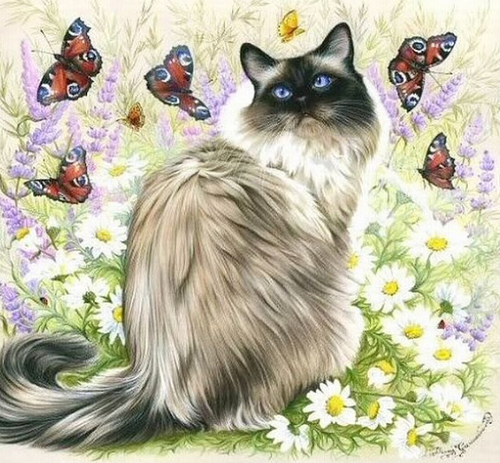 Thế giới của mèo qua tranh vẽ ... Aa612