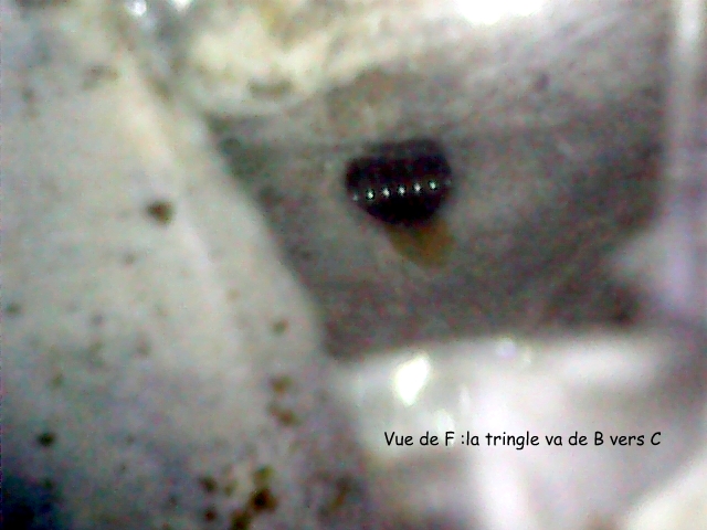 Culasse , bloc - Passages d' eau - Page 7 Stills10