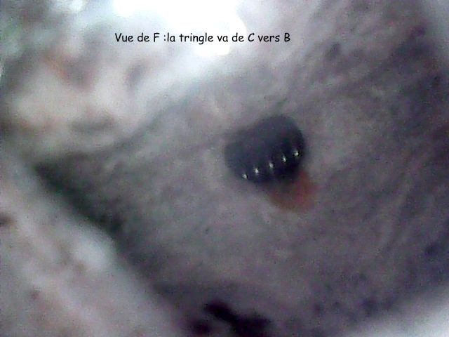 Culasse , bloc - Passages d' eau - Page 7 Stills13