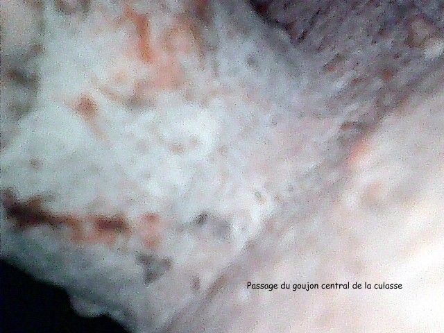 Culasse , bloc - Passages d' eau - Page 7 Stills22