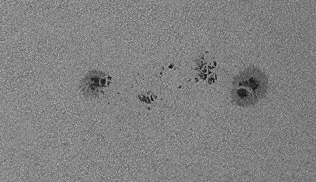 Groupe de taches solaires AR2699 du 12 février vers 11h TU, en lumière "blanche" (IR742) Soleil12