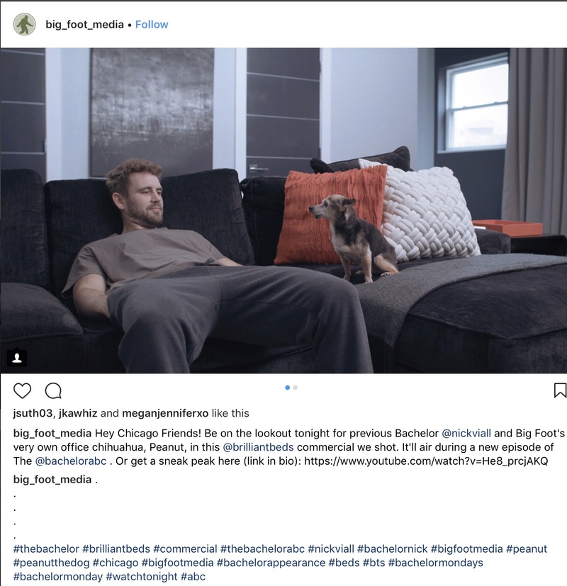 Nick Viall - Bachelor 21 - FAN Forum - Discussion #26 - Page 71 43903710