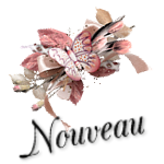 Poster un nouveau sujet