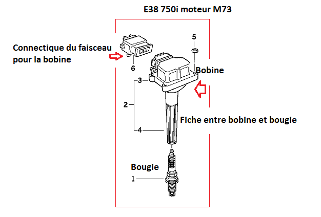 [ Bmw E38 750i V12 M73 5.4 an 1996 ] Manque de puissance (résolu) 12_bob10