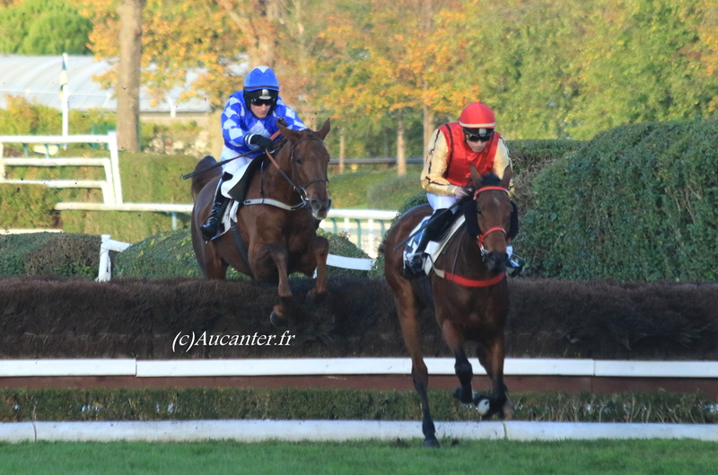Photos Auteuil 5-11-2017 - Page 2 5j6a0117
