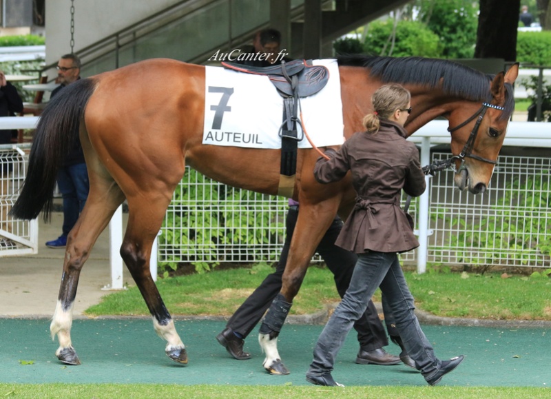 Photos Auteuil 12-05-2018 5j6a0125