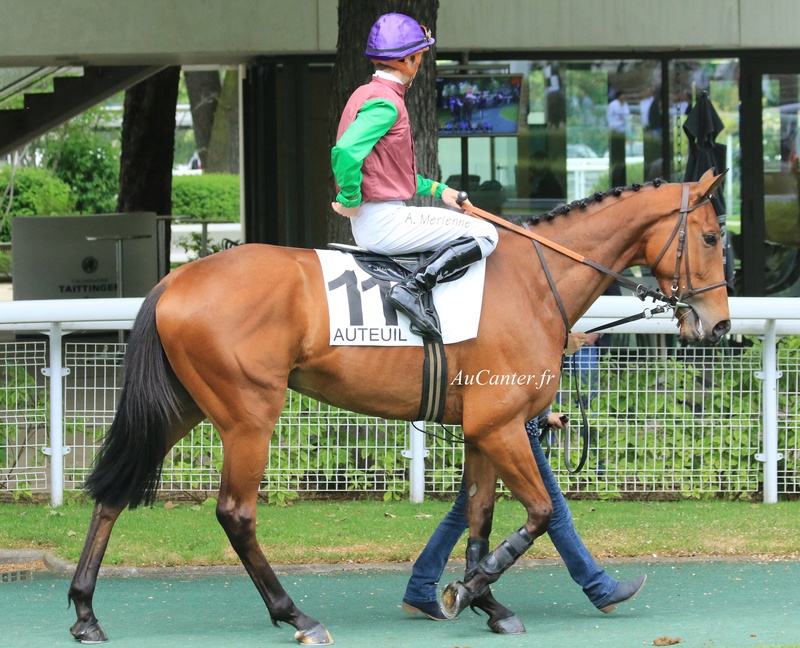 Photos Auteuil 12-05-2018 5j6a0132