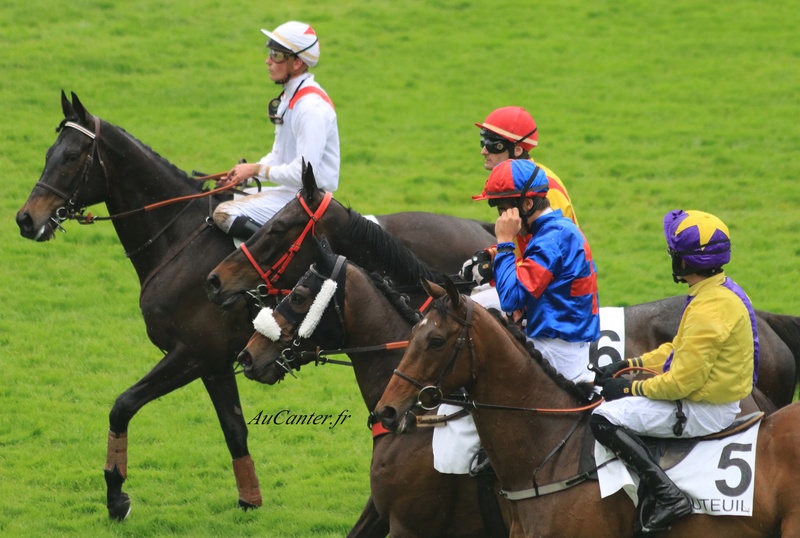 Photos Auteuil 12-05-2018 5j6a0535