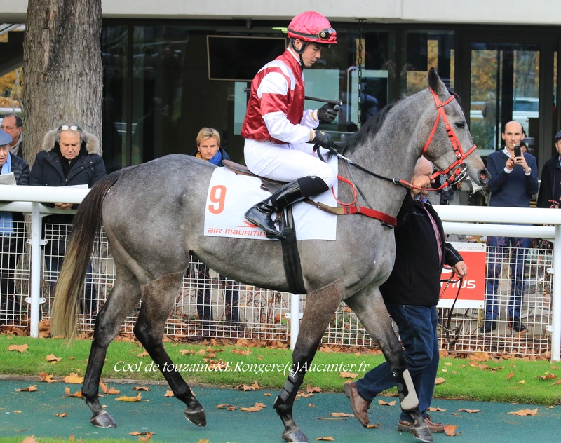 Photos Auteuil 18-11-2017 5j6a0813