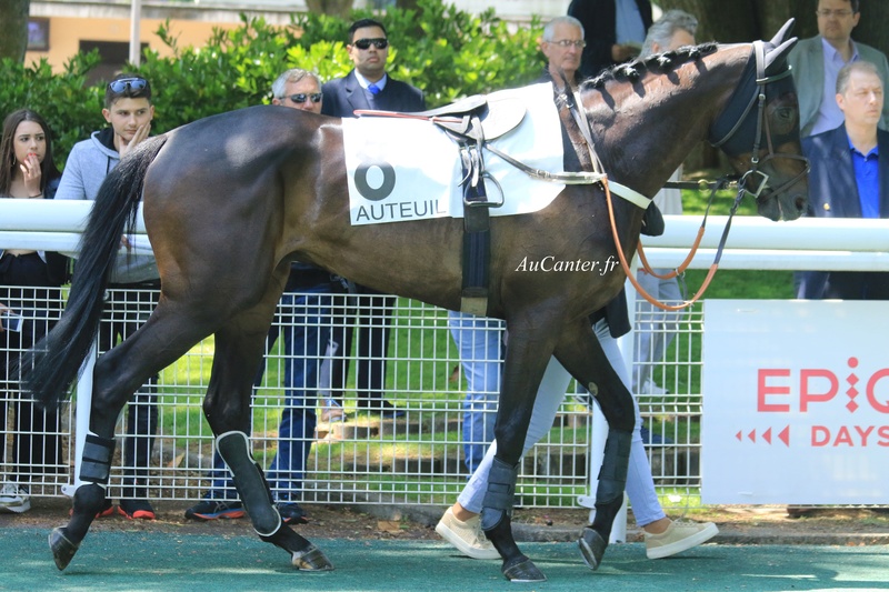 Photos Auteuil 19-05-2018 5j6a0846