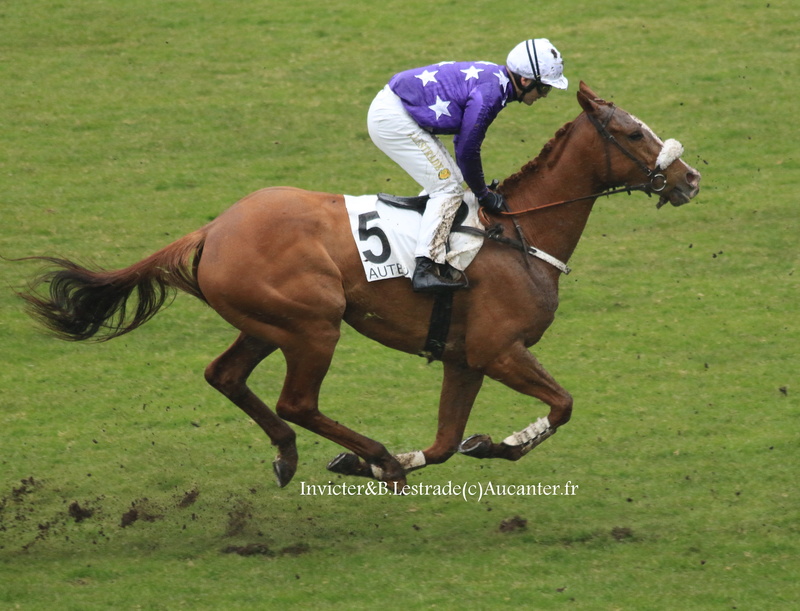 Photos Auteuil 4-03-2018 5j6a1513