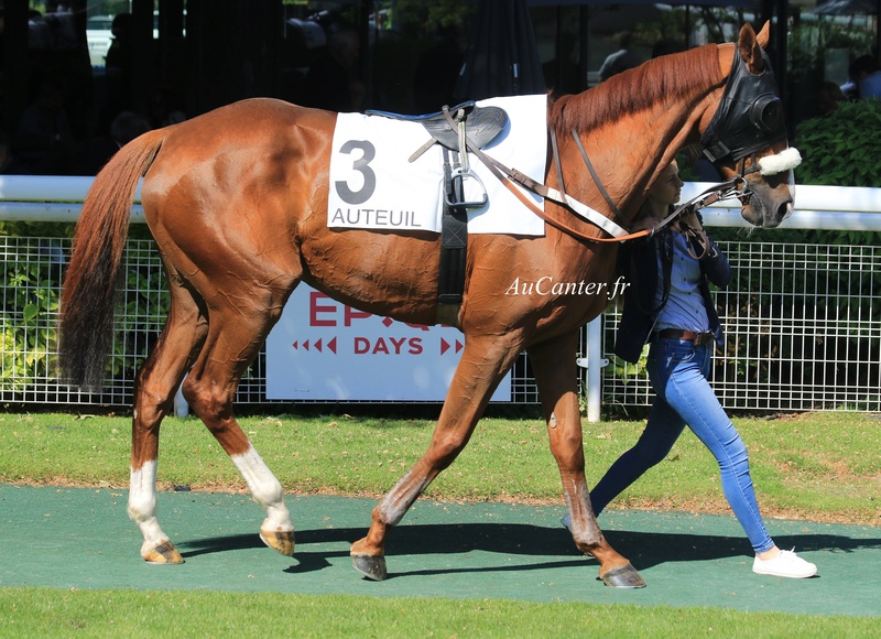 Photos Auteuil 19-05-2018 5j6a1534