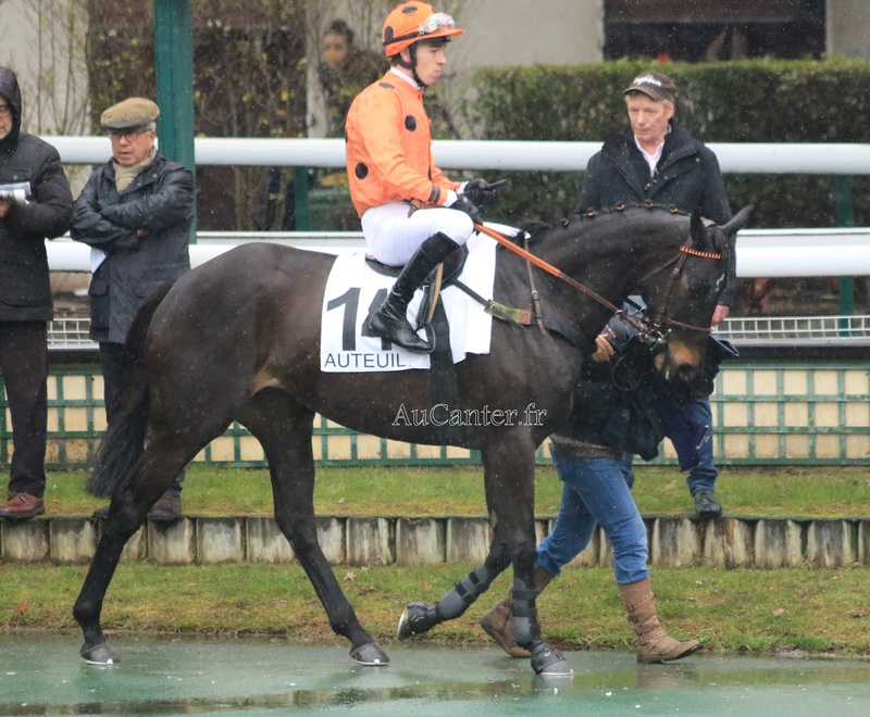 Photos Auteuil 4-03-2018 5j6a1626