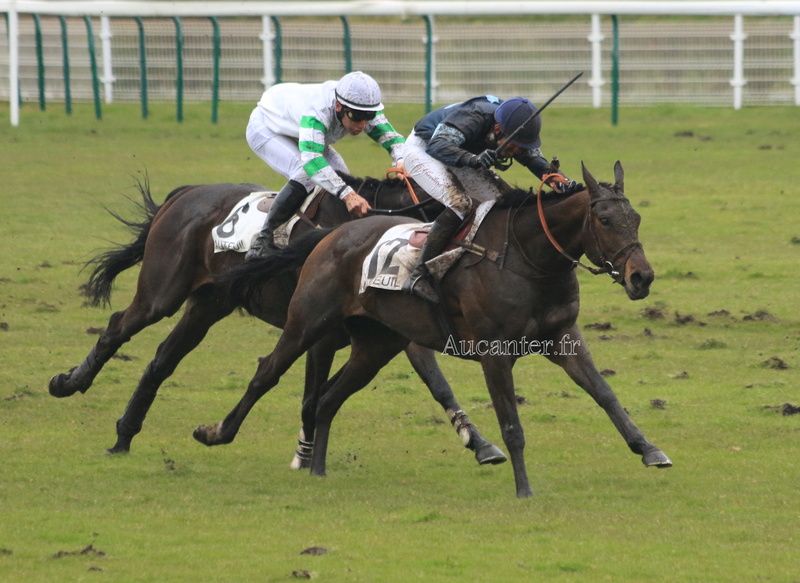 Photos Auteuil 4-03-2018 5j6a1718