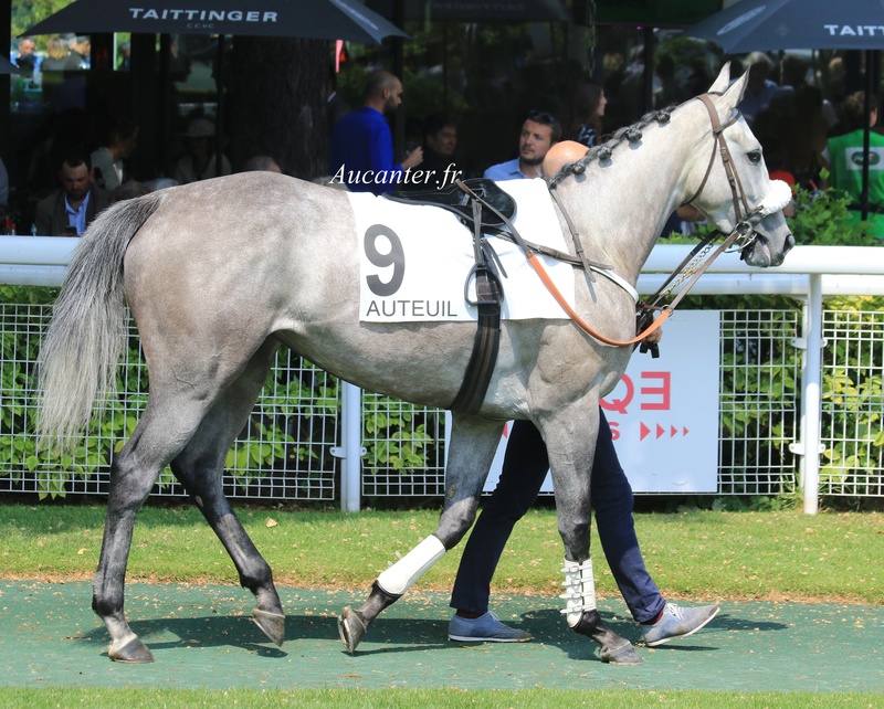 Photos Auteuil 20-05-2018 5j6a2131
