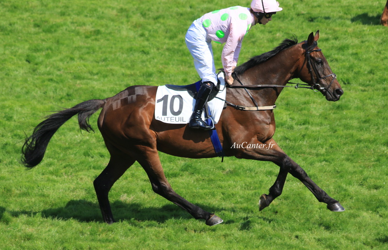Photos Auteuil 20-05-2018 5j6a2340