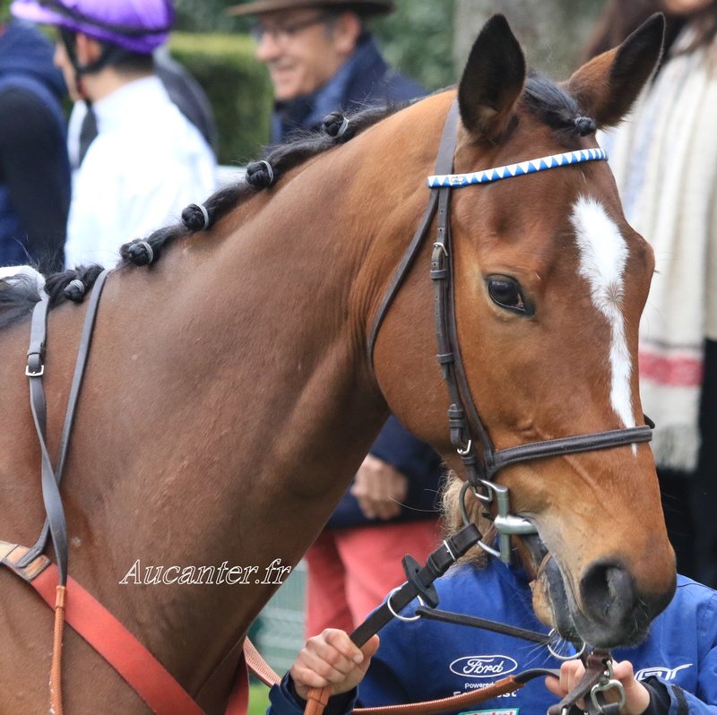 Photos Auteuil 1-04-2018 5j6a5412