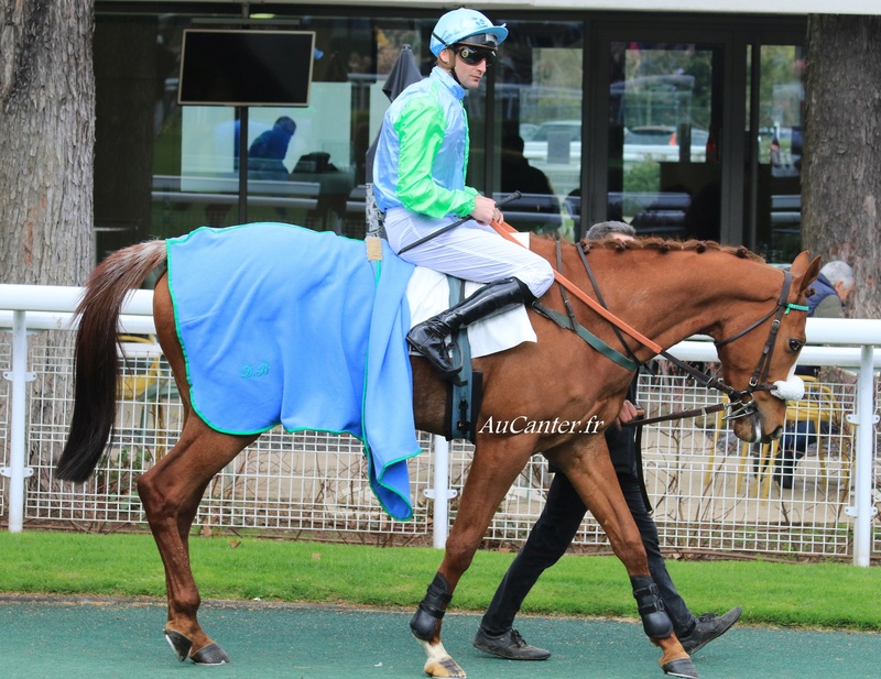 Photos Auteuil 1-04-2018 5j6a5415