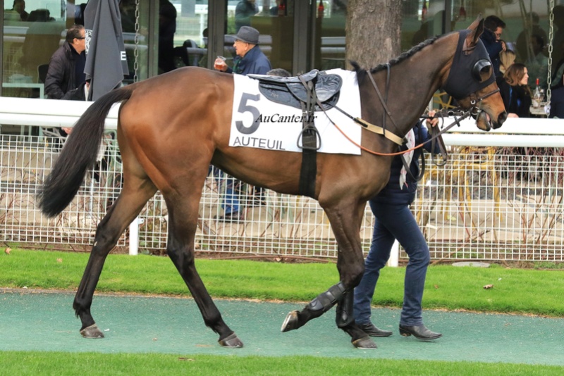 Photos Auteuil 1-04-2018 - Page 2 5j6a5823