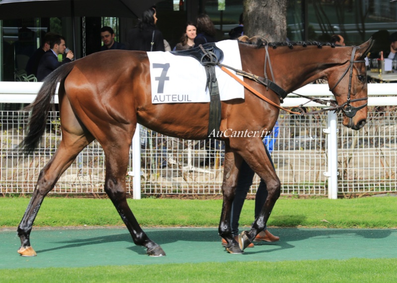 Photos Auteuil 7-04-2018 5j6a6010