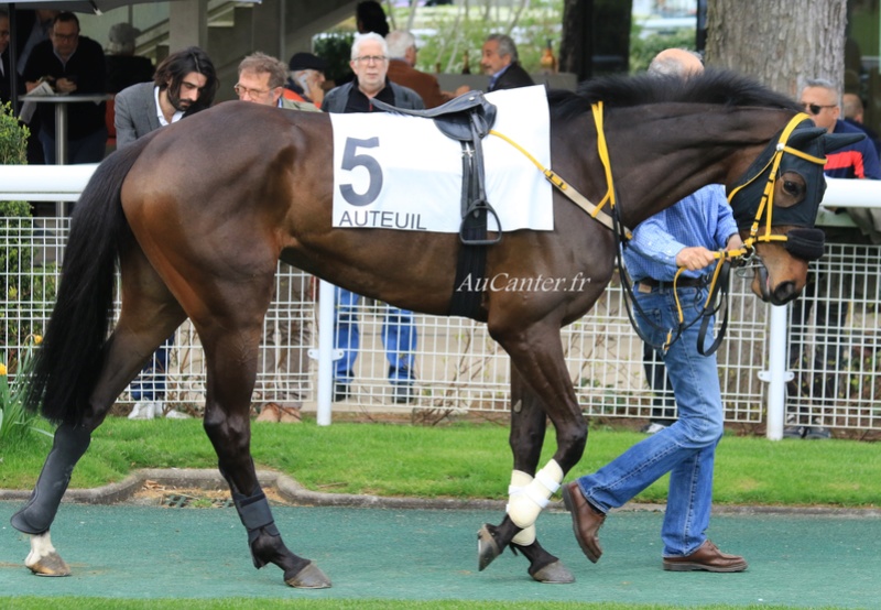 Photos Auteuil 7-04-2018 5j6a6122