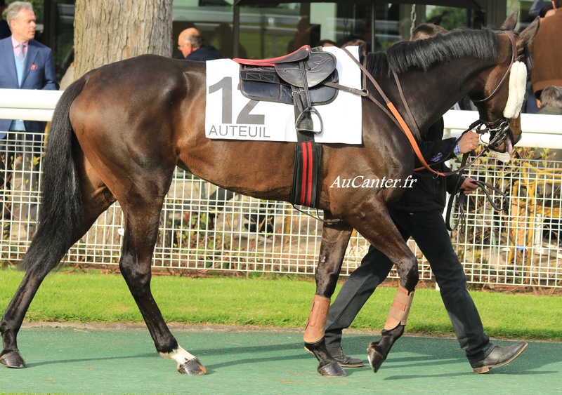 Photos Auteuil 7-04-2018 5j6a6313