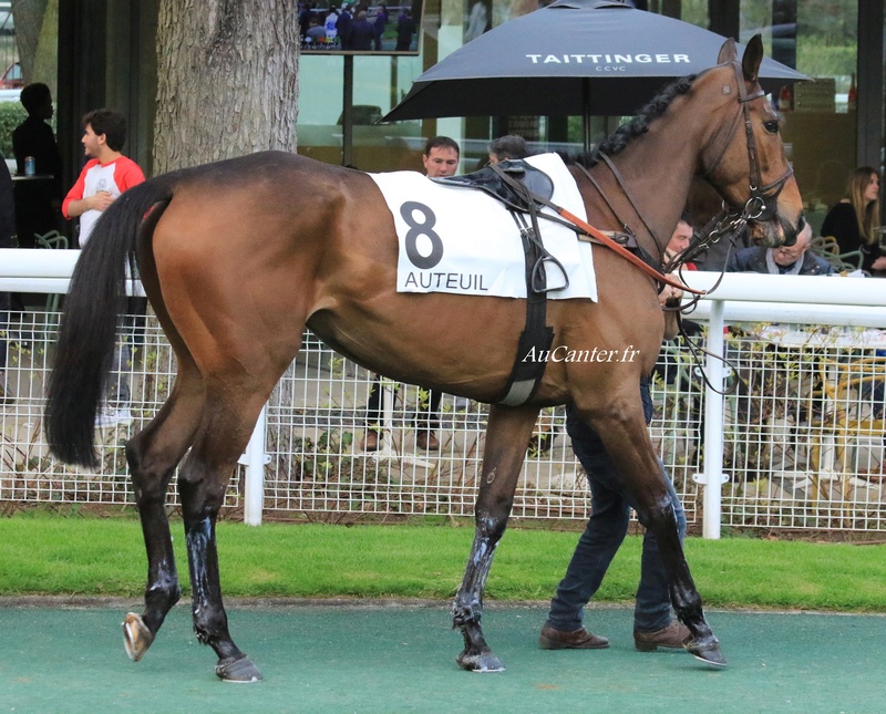 Photos Auteuil 7-04-2018 - Page 2 5j6a6915