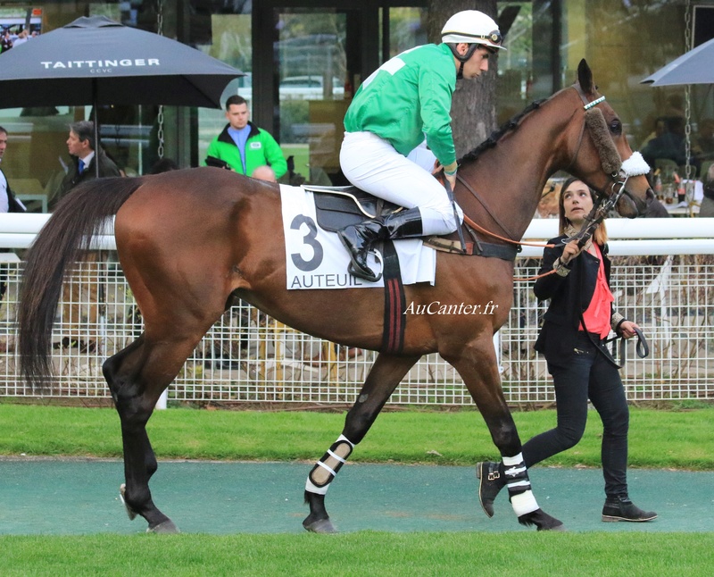 Photos Auteuil 7-04-2018 - Page 2 5j6a6916