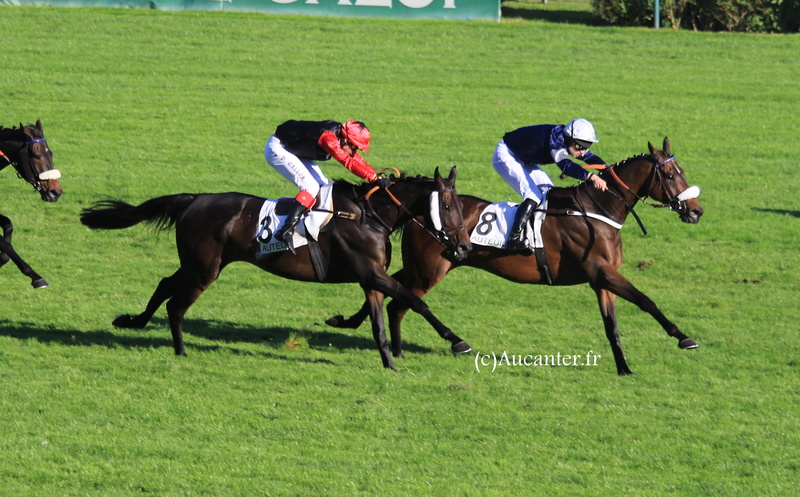 Photos Auteuil 14-10-2017 5j6a7515
