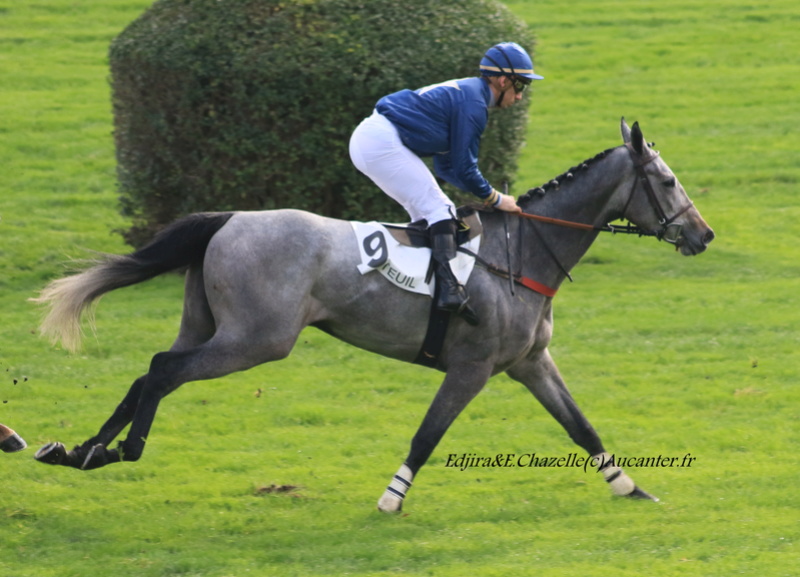 Photos Auteuil 27-10-2017 5j6a7916